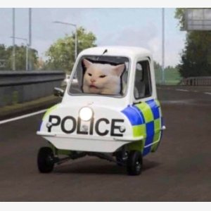 Cat Police
